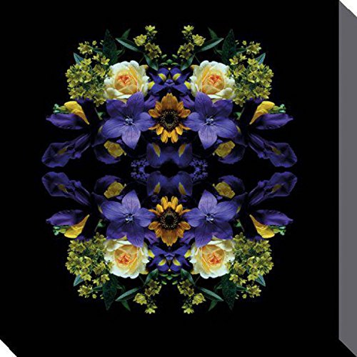 1art1 Blumen Poster Flowers of Eden, Alyson Fennell Bilder Leinwand-Bild Auf Keilrahmen | XXL-Wandbild Poster Kunstdruck Als Leinwandbild 80x80 cm von 1art1