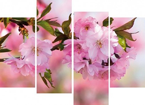 1art1 Blumen Poster Kirschblüten, 4-Teilig Bilder Leinwand-Bild Auf Keilrahmen | XXL-Wandbild Poster Kunstdruck Als Leinwandbild 120x80 cm von 1art1