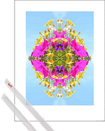 1art1 Blumen Kunstdruck (80x60 cm) Farbenexplosion, Alyson Fennell + EIN Paar Posterleisten, Transparent von 1art1
