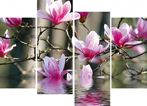 1art1 Blumen Poster Magnolienblüten Spiegeln Sich Im Wasser, 4-Teilig Bilder Leinwand-Bild Auf Keilrahmen | XXL-Wandbild Poster Kunstdruck Als Leinwandbild 120x80 cm von 1art1