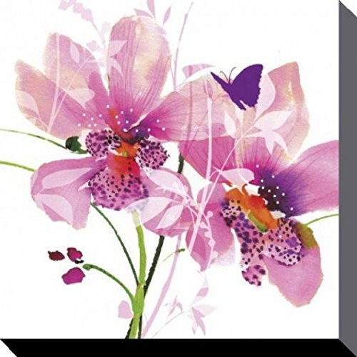 1art1 Blumen Poster Orchid Blush, Summer Thornton Bilder Leinwand-Bild Auf Keilrahmen | XXL-Wandbild Poster Kunstdruck Als Leinwandbild 60x60 cm von 1art1