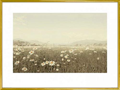 1art1 Blumen Poster Kunstdruck Bild und Kunststoff-Rahmen - Gänseblümchenfeld, Ian Winstanley (80 x 60cm) von 1art1