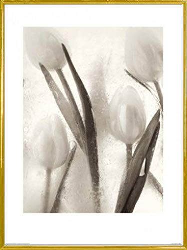 1art1 Blumen Poster Kunstdruck Bild und Kunststoff-Rahmen - Ice Form 7, Ryuijie Douglas (80 x 60cm) von 1art1