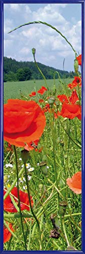 1art1 Blumen Poster Kunstdruck Bild und Kunststoff-Rahmen - Mohnblumenfeld (91 x 30cm) von 1art1