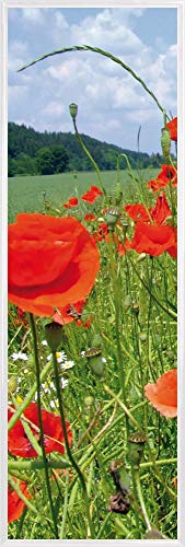 1art1 Blumen Poster Kunstdruck Bild und Kunststoff-Rahmen - Mohnblumenfeld (91 x 30cm) von 1art1