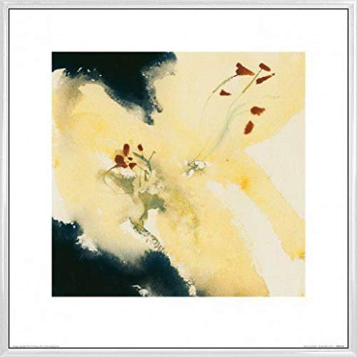 1art1 Blumen Poster Kunstdruck Bild und Kunststoff-Rahmen - Lilium Candidum, David Ross (40 x 40cm) von 1art1