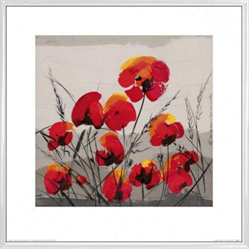 1art1 Blumen Poster Kunstdruck Bild und Kunststoff-Rahmen - Multiple Poppies, Tibi Hegyesi (40 x 40cm) von 1art1