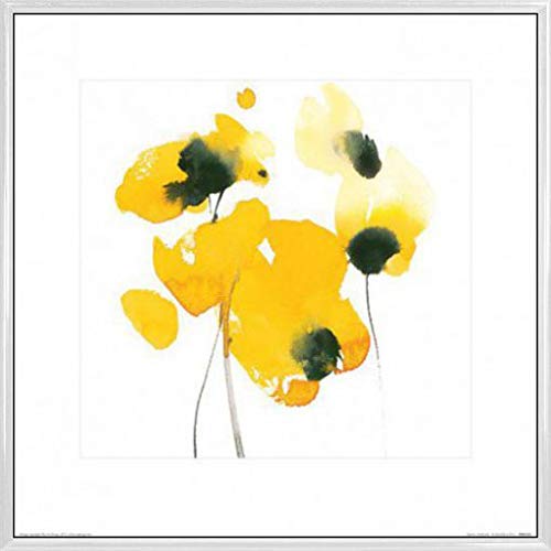 1art1 Blumen Poster Kunstdruck Bild und Kunststoff-Rahmen - Papaver Nudicaule, David Ross (40 x 40cm) von 1art1