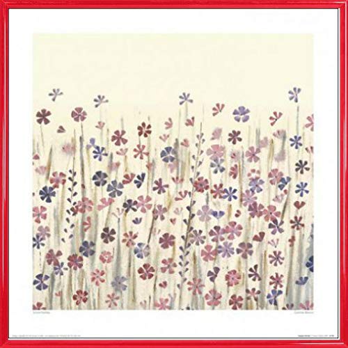 1art1 Blumen Poster Kunstdruck Bild und Kunststoff-Rahmen - Summer Bloom, Simon Fairless (40 x 40cm) von 1art1