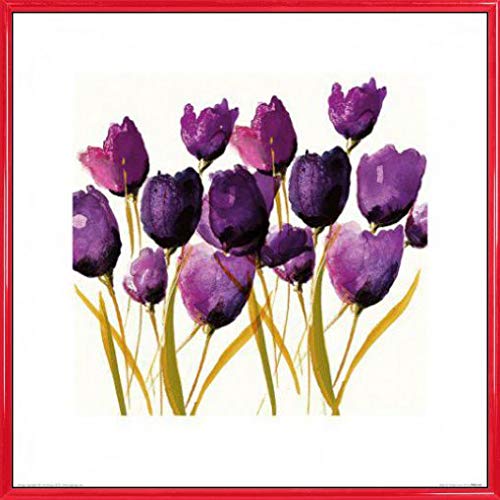 1art1 Blumen Poster Kunstdruck Bild und Kunststoff-Rahmen - Tulips, Nicola Evans (40 x 40cm) von 1art1