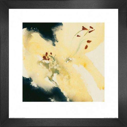 1art1 Blumen Poster Kunstdruck Bild und MDF-Rahmen - Lilium Candidum, David Ross (40 x 40cm) von 1art1