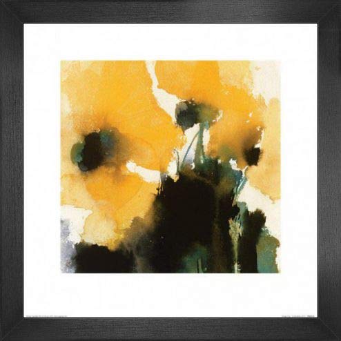 1art1 Blumen Poster Kunstdruck Bild und MDF-Rahmen - Orange King, David Ross (40 x 40cm) von 1art1