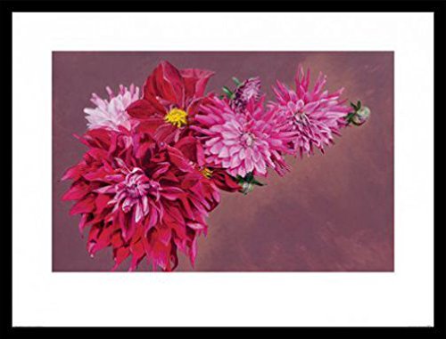 Blumen Poster Kunstdruck Bild und MDF-Rahmen Schwarz - Haworth Fireworks, Sarah Caswell (80 x 60cm) von 1art1