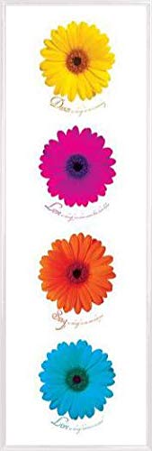 1art1 Blumen Poster Midi-Poster und Kunststoff-Rahmen - Tanze, Liebe, Singe, Lebe (91 x 30cm) von 1art1