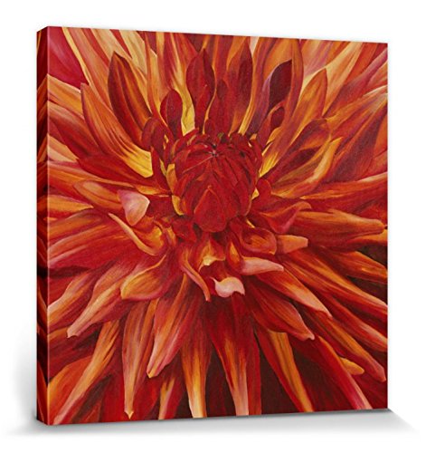 1art1 Blumen Poster Orangefarbene Dahlie, Sarah Caswell Bilder Leinwand-Bild Auf Keilrahmen | XXL-Wandbild Poster Kunstdruck Als Leinwandbild 80x80 cm von 1art1