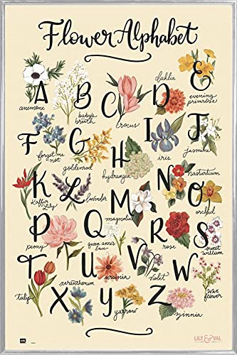 1art1 Blumen Poster Plakat | Bild und Kunststoff-Rahmen - Flower Alphabet, Anemone to Zinnia, Lily & Val (91 x 61cm) von 1art1