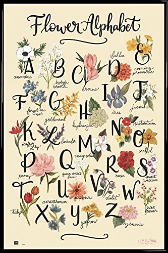 1art1 Blumen Poster Plakat | Bild und Kunststoff-Rahmen - Flower Alphabet, Anemone to Zinnia, Lily & Val (91 x 61cm) von 1art1