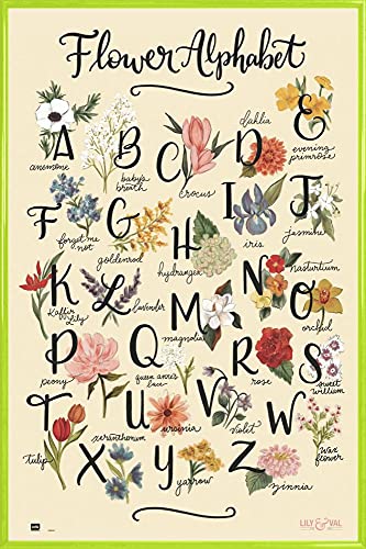 1art1 Blumen Poster Plakat | Bild und Kunststoff-Rahmen - Flower Alphabet, Anemone to Zinnia, Lily & Val (91 x 61cm) von 1art1