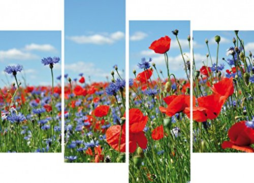 1art1 Blumen Poster Wildblumen-Wiese Mit Mohn- Und Kornblumen, 4-Teilig Bilder Leinwand-Bild Auf Keilrahmen | XXL-Wandbild Poster Kunstdruck Als Leinwandbild 120x80 cm von 1art1