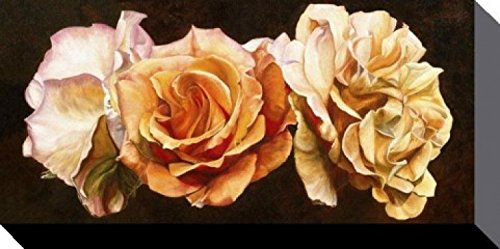 1art1 Blumen Poster Rose Trio, Sarah Caswell Bilder Leinwand-Bild Auf Keilrahmen | XXL-Wandbild Poster Kunstdruck Als Leinwandbild 100x50 cm von 1art1
