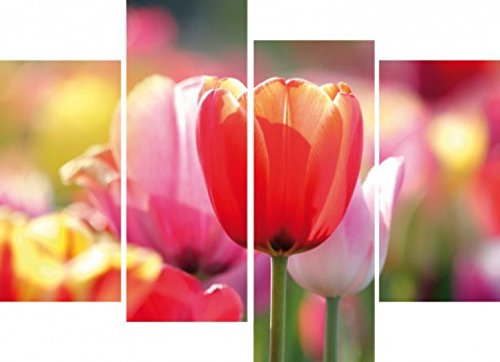 1art1 Blumen Poster Rote Und Rosa Tulpen In Einem Feld, 4-Teilig Bilder Leinwand-Bild Auf Keilrahmen | XXL-Wandbild Poster Kunstdruck Als Leinwandbild 120x80 cm von 1art1