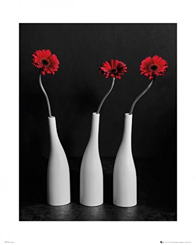 1art1 Blumen Poster Three Gerbera Daisies In Deep Red Mini-Poster 50x40 cm von 1art1