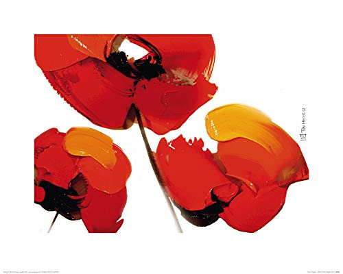 1art1 Blumen Poster Three Poppies Tibi Hegyesi Kunstdruck Bild 50x40 cm von 1art1