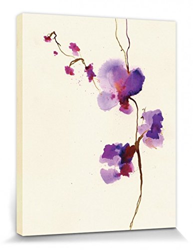 1art1 Blumen Poster Velvet Orchid, Summer Thornton Bilder Leinwand-Bild Auf Keilrahmen | XXL-Wandbild Poster Kunstdruck Als Leinwandbild 50x40 cm von 1art1