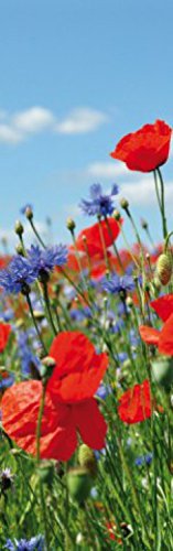 1art1 Blumen Wildblumen-Wiese Mit Mohn- Und Kornblumen, 1-Teilig Fototapete Poster-Tapete 250x79 cm von 1art1