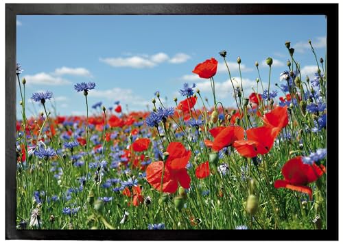 1art1 Blumen Wildblumen-Wiese Mit Mohn- Und Kornblumen Fußmatte Dekomatte Innenbereich | Design Türmatte 70x50 cm von 1art1