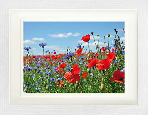 1art1 Blumen Poster Wildblumen-Wiese Mit Mohn- Und Kornblumen Gerahmtes Bild Mit Edlem Passepartout | Wand-Bilder | Im Bilderrahmen 40x30 cm von 1art1