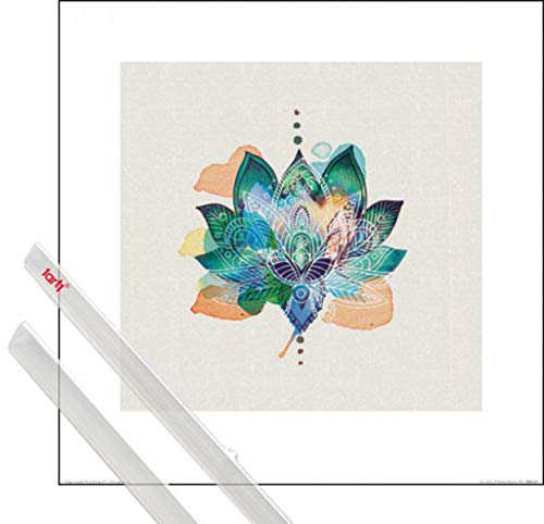 1art1 Buddhismus Kunstdruck (40x40 cm) Lotus Flower, Summer Thornton + EIN Paar Posterleisten, Transparent von 1art1