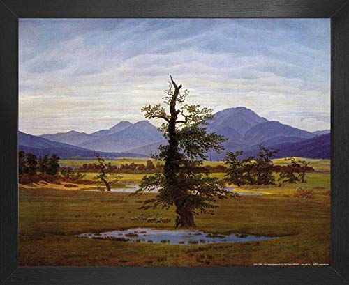 1art1 Caspar David Friedrich Poster Kunstdruck Bild und MDF-Rahmen - Der Einsame Baum, 1822 (50 x 40cm) von 1art1