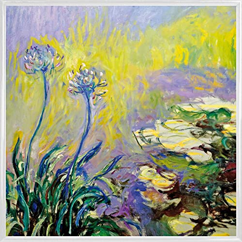 1art1 Claude Monet Poster Kunstdruck Bild und Kunststoff-Rahmen - Schmucklilien, Agapanthus, 1914–17 (40 x 40cm) von 1art1