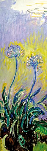 1art1 Claude Monet Schmucklilien, Agapanthus, 1914–17, 1-Teilig Fototapete Poster-Tapete 250x79 cm von 1art1