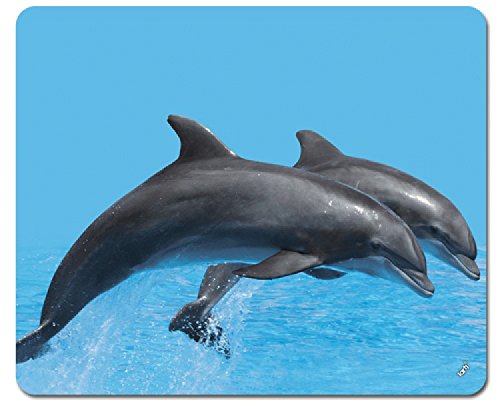 1art1 Delfine Springendes Delfin-Pärchen Mauspad 23x19 cm von 1art1