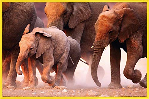 1art1 Elefanten Poster Plakat | Bild und Kunststoff-Rahmen - Elefantenherde, Namibia (91 x 61cm) von 1art1