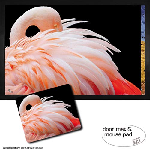 1art1 Flamingos, Flamingo Mit Schönen Federn Fußmatte Dekomatte Innenbereich | Design Türmatte (60x40 cm) + Mauspad (23x19 cm) Geschenkset von 1art1