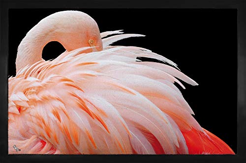 1art1 Flamingos Flamingo Mit Schönen Federn Fußmatte Dekomatte Innenbereich | Design Türmatte 60x40 cm von 1art1
