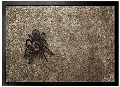 1art1 Gothic Vogelspinne Auf Dem Boden Fußmatte Dekomatte Innenbereich | Design Türmatte 70x50 cm von 1art1