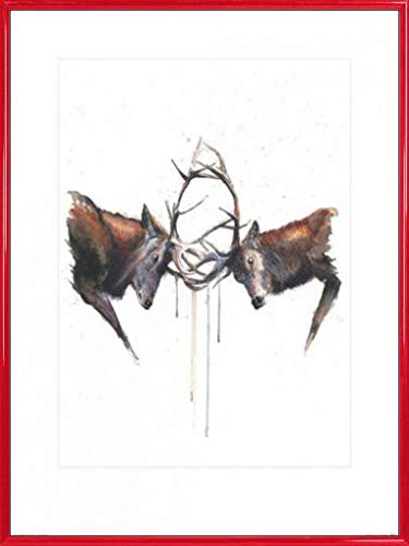 1art1 Hirsche Poster Kunstdruck Bild und Kunststoff-Rahmen - Brunftkampf Zweier Hirsche, Sarah Stokes (80 x 60cm) von 1art1