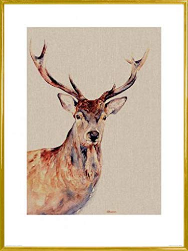 1art1 Hirsche Poster Kunstdruck Bild und Kunststoff-Rahmen - Montgomery, Jane Bannon (80 x 60cm) von 1art1