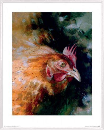 1art1 Hühner Poster Kunstdruck Bild und Kunststoff-Rahmen - Braunes Huhn, Simon Howden (50 x 40cm) von 1art1