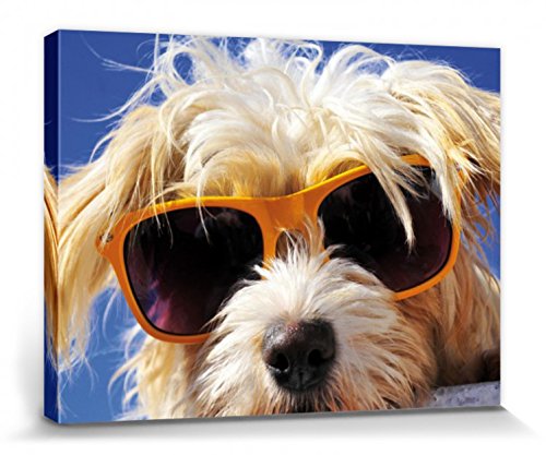 1art1 Hunde Poster Cooler Hund Bilder Leinwand-Bild Auf Keilrahmen | XXL-Wandbild Poster Kunstdruck Als Leinwandbild 80x60 cm 1art1 Hunde Poster Cooler Hund Bilder Leinwand-Bild Auf Keilrahmen | XXL-Wandbild Poster Kunstdruck Als Leinwandbild 80x60 cm von 1art1