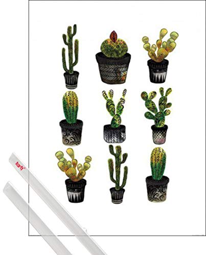 1art1 Kakteen Kunstdruck (80x60 cm) Cacti, Sofie Rolfsdotter + EIN Paar Posterleisten, Transparent von 1art1