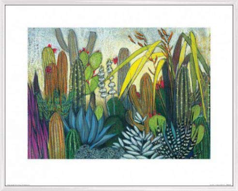 1art1 Kakteen Poster Kunstdruck Bild und Kunststoff-Rahmen - Succulents, Shyama Ruffell (50 x 40cm) von 1art1