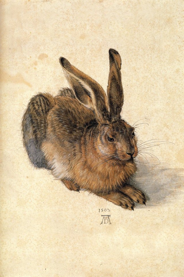 1art1 Kunstdruck Albrecht Dürer Kunstdruck Bild - Junger Feldhase, 1502 (180 x 120 cm) von 1art1
