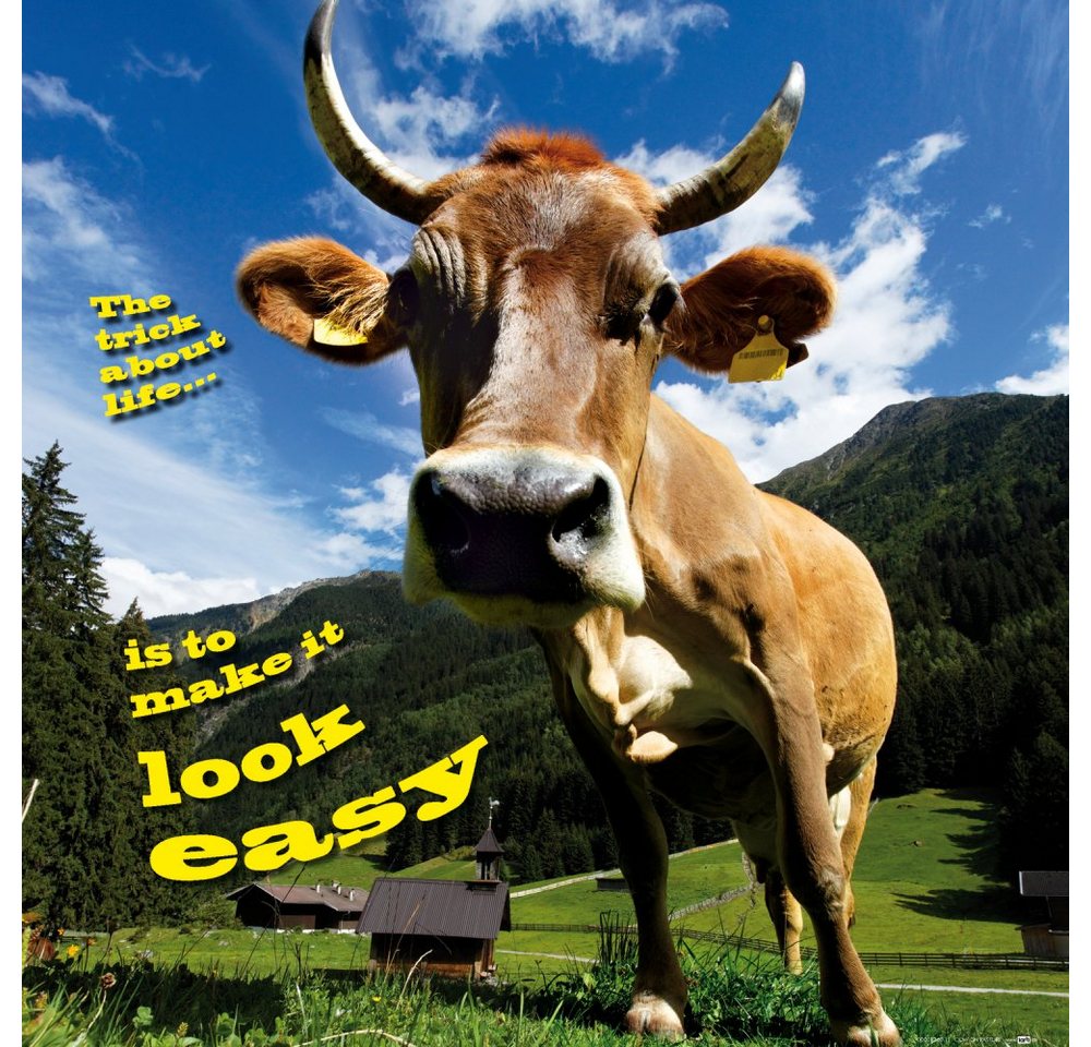 1art1 Kunstdruck Kühe - Kuh Philosophie von 1art1
