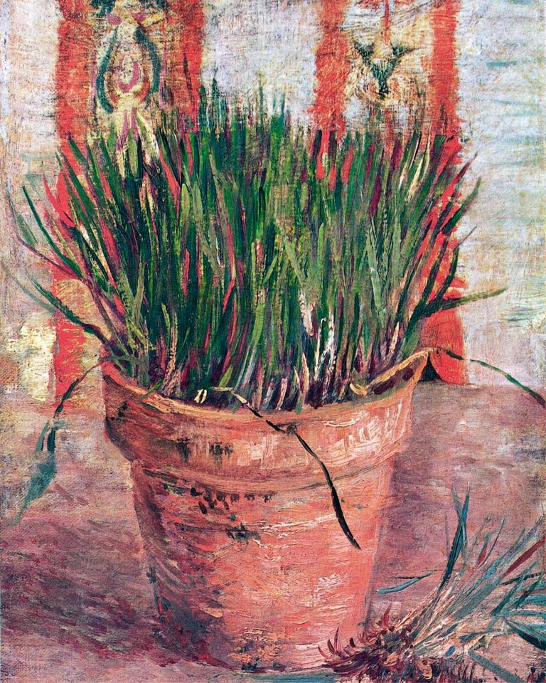 1art1 Kunstdruck Vincent Van Gogh - Blumentopf Mit Schnittlauch, 1887 von 1art1