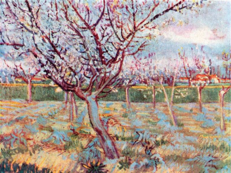 1art1 Poster Vincent Van Gogh Kunstdruck Bild - Blühende Bäume, 1888 (60 x 80 cm) von 1art1